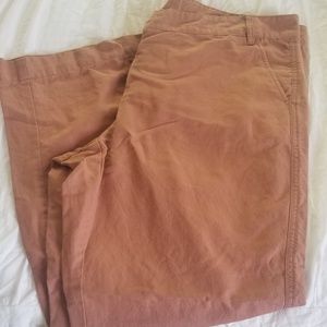 Loft Mauve Capri Pants